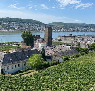 LA MAJESTUEUSE VALLEE DU RHIN ROMANTIQUE