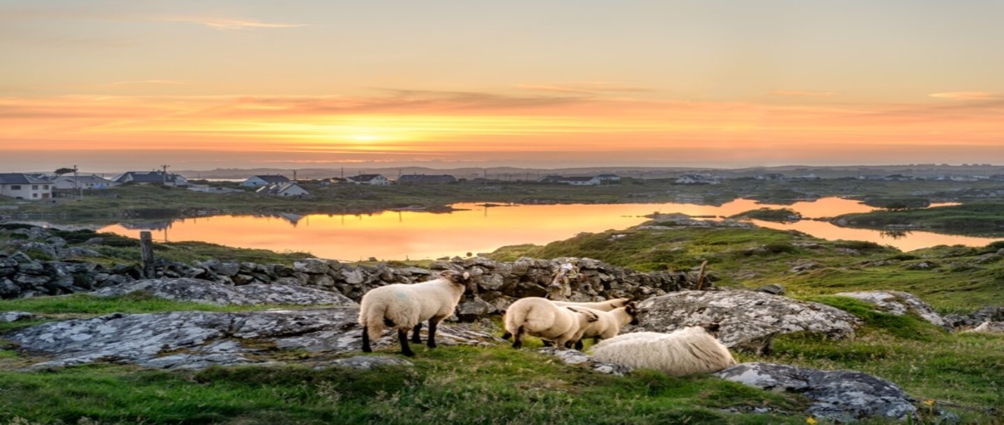 DÉCOUVERTE DE L’IRLANDE