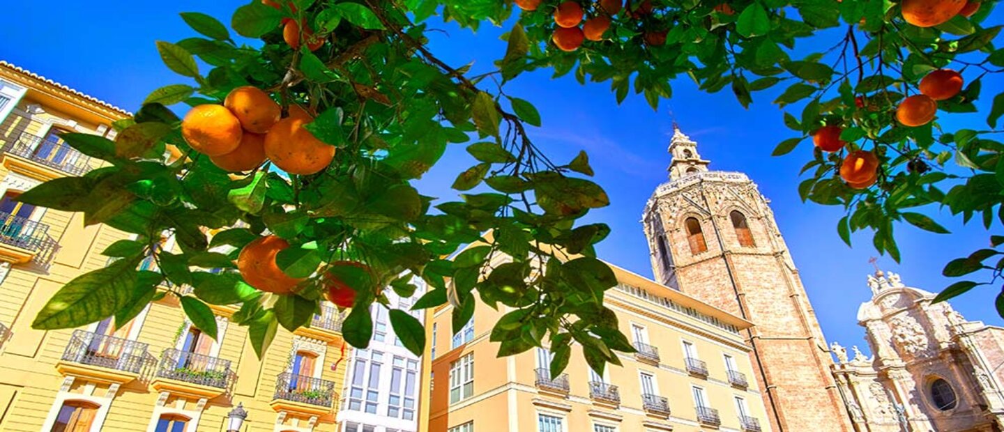 LA ROUTE DES ORANGERS EN ESPAGNE