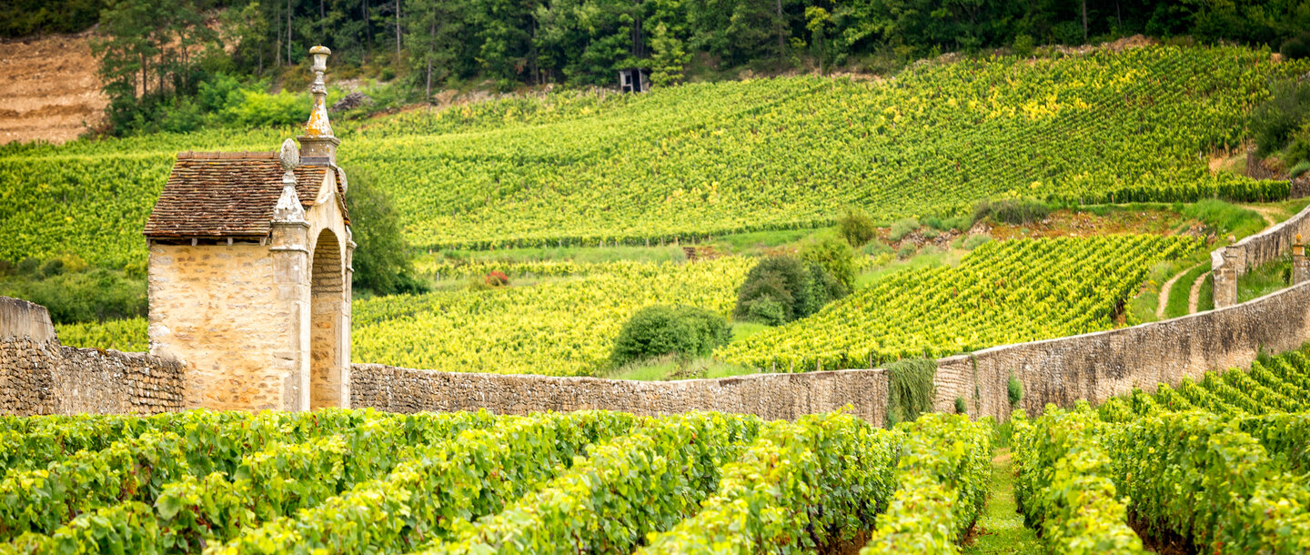 ESCAPADE EN BOURGOGNE